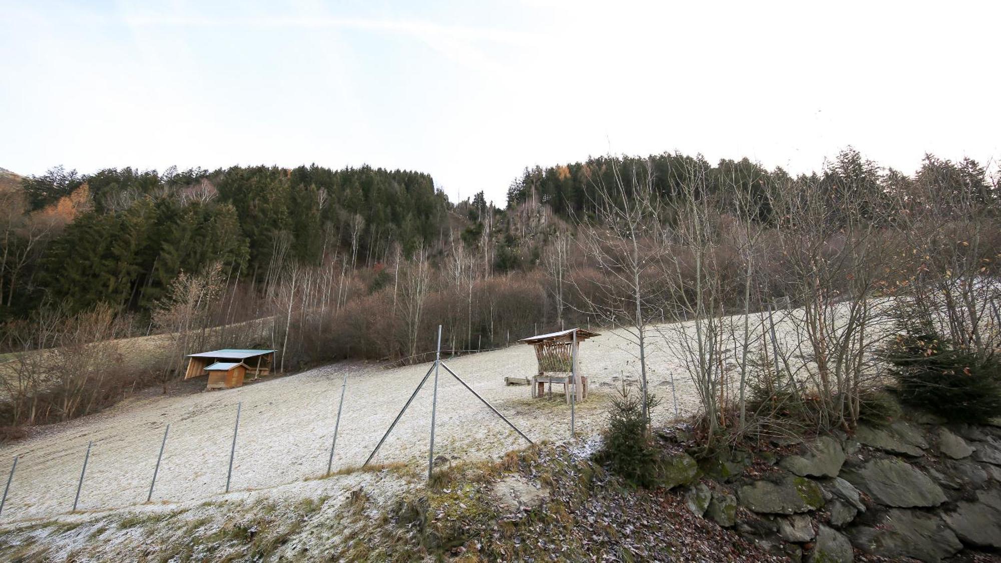 Hochfeldhof Lejlighed Zell am Ziller Værelse billede